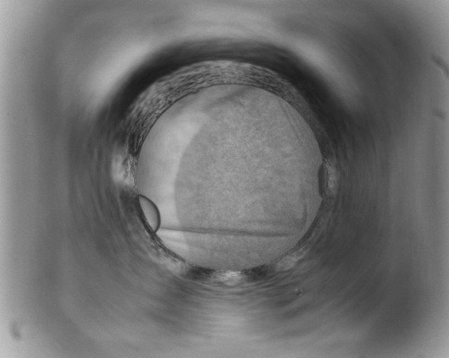 X0000099530431200806131131