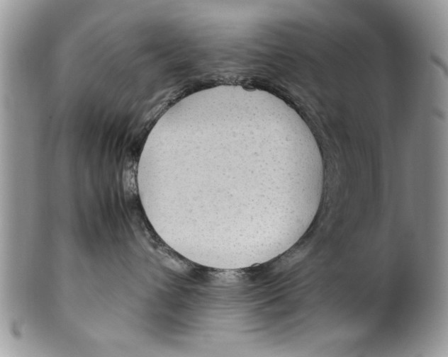 X0000099530432200806131131