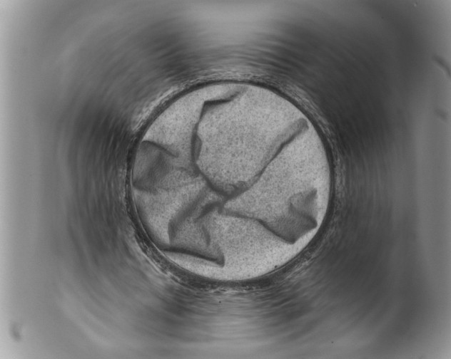 X0000099530434200806131130