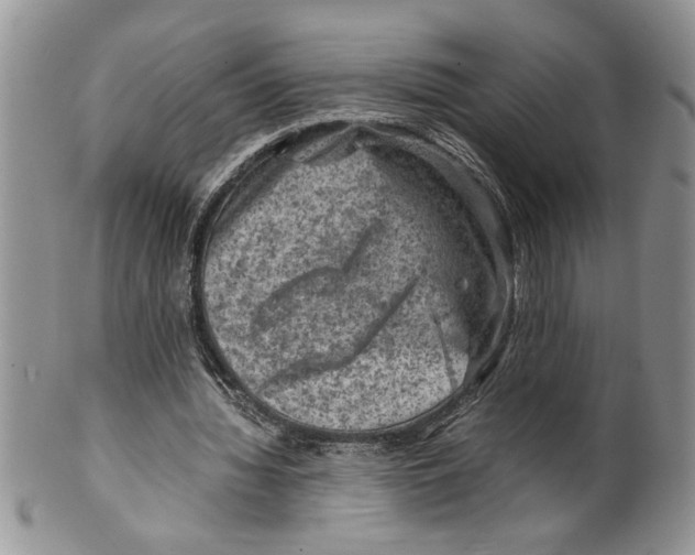 X0000099530436200806131131