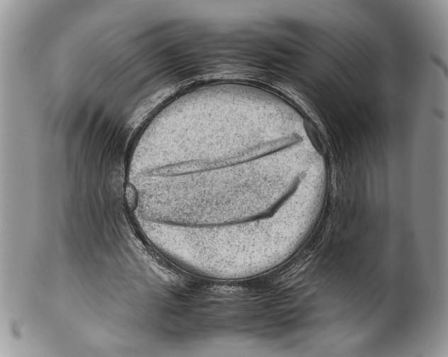 X0000099530437200806131131