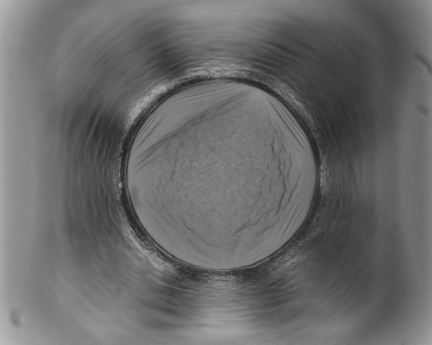 X0000099530438200806131131