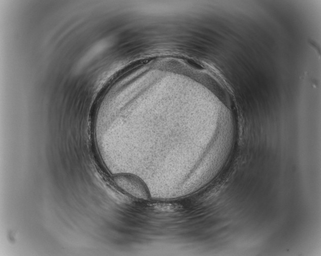 X0000099530439200806131131