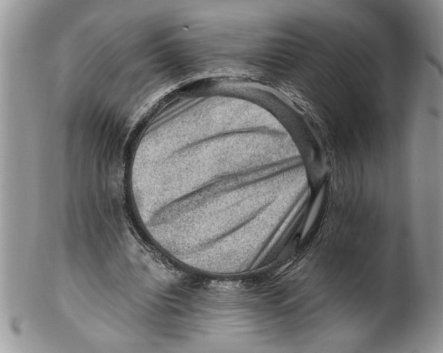 X0000099530440200806131131