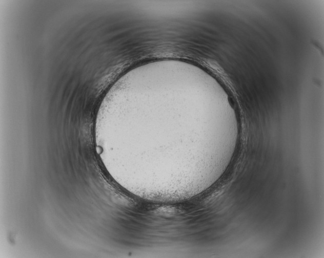 X0000099530441200806131131