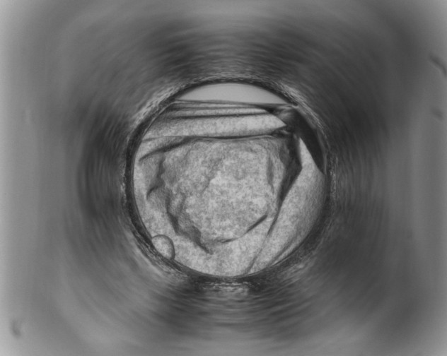 X0000099530443200806131131