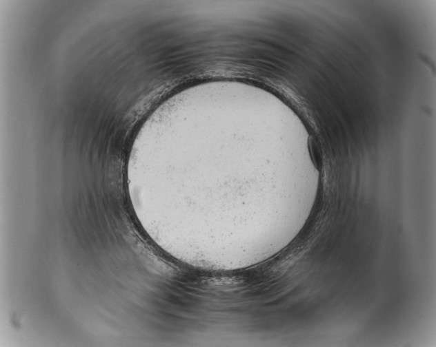 X0000099530445200806131131