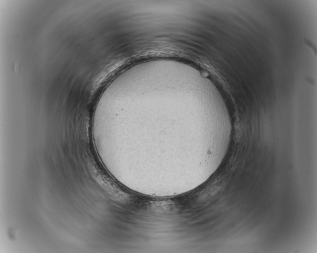 X0000099530446200806131131