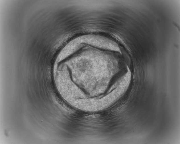 X0000099530447200806131131