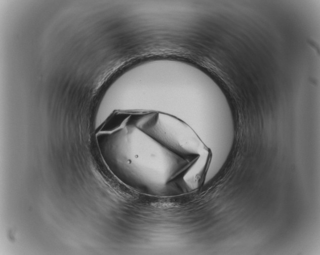 X0000099530448200806131131