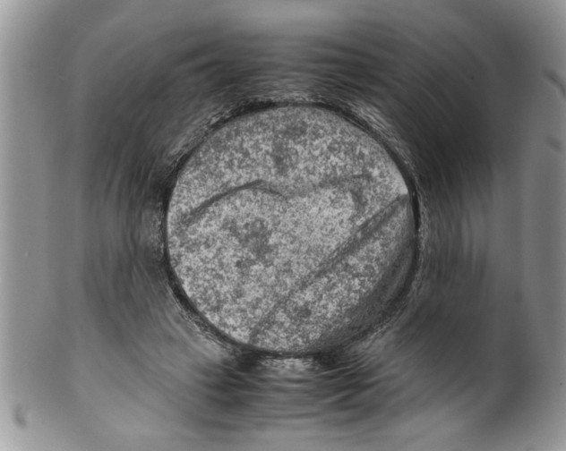 X0000099530449200806131131