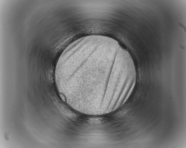 X0000099530450200806131131