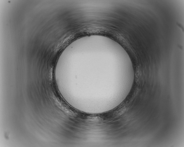 X0000099530454200806131131