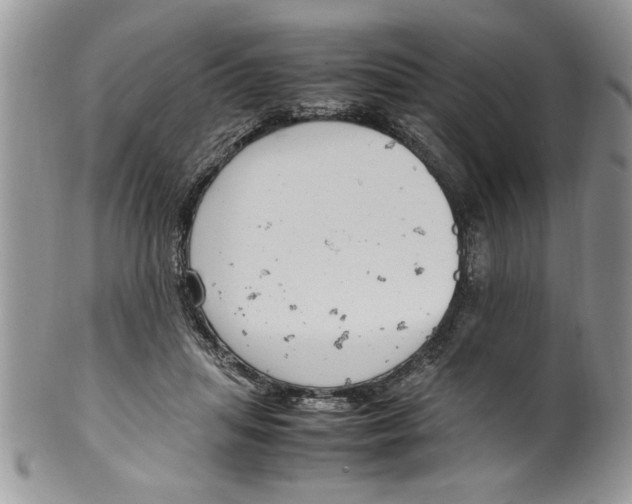 X0000099530455200806131131