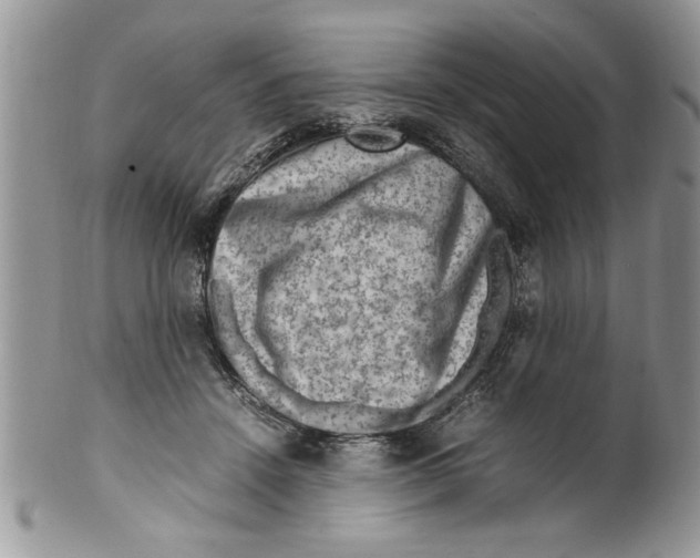 X0000099530456200806131131