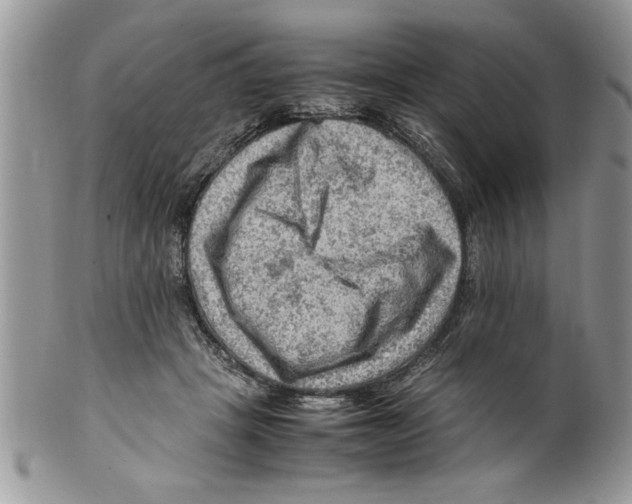 X0000099530457200806131131