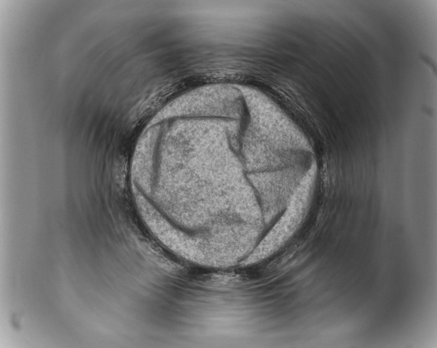 X0000099530458200806131131