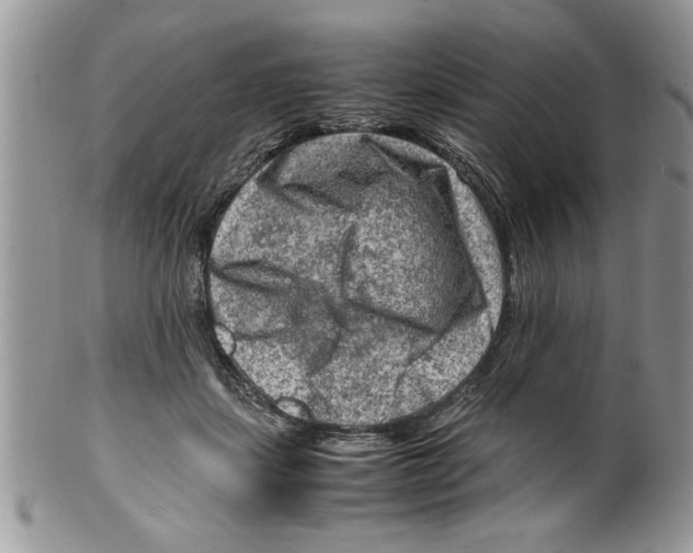 X0000099530459200806131131