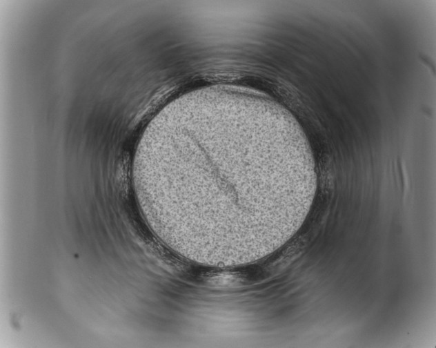 X0000099530460200806131131