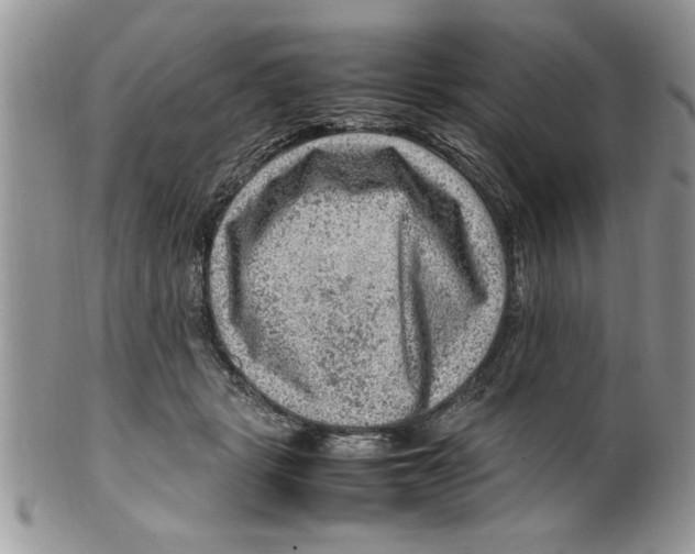 X0000099530461200806131131