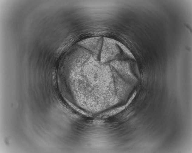 X0000099530462200806131131