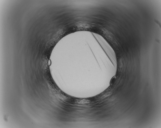 X0000099530463200806131131