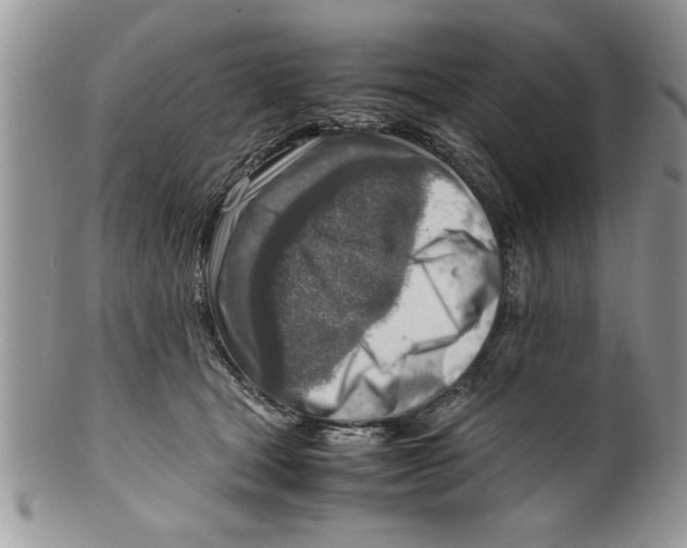 X0000099530465200806131131