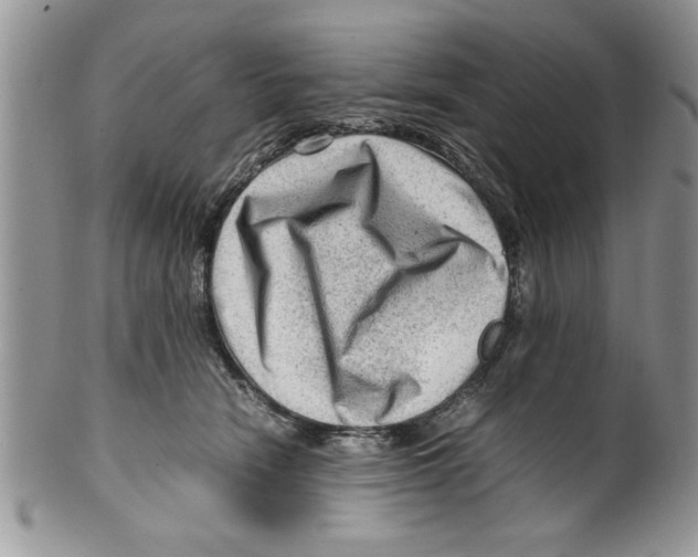 X0000099530466200806131131