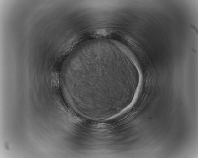 X0000099530467200806131131