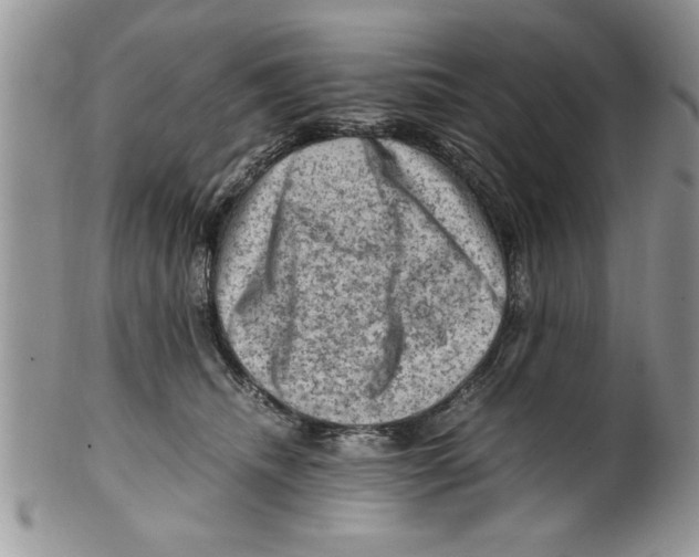 X0000099530468200806131131