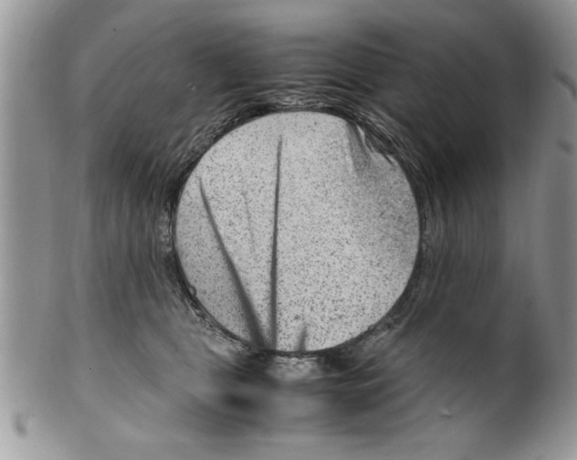 X0000099530469200806131131