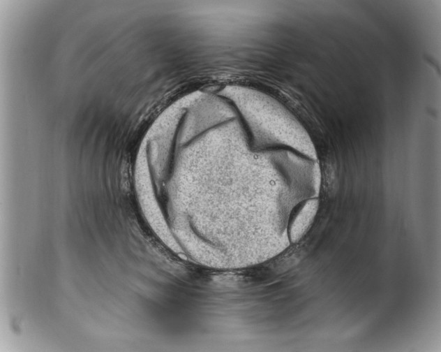 X0000099530470200806131131