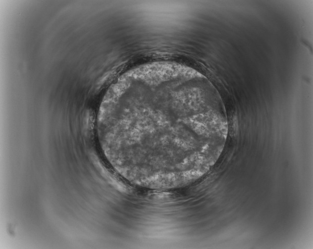 X0000099530472200806131131