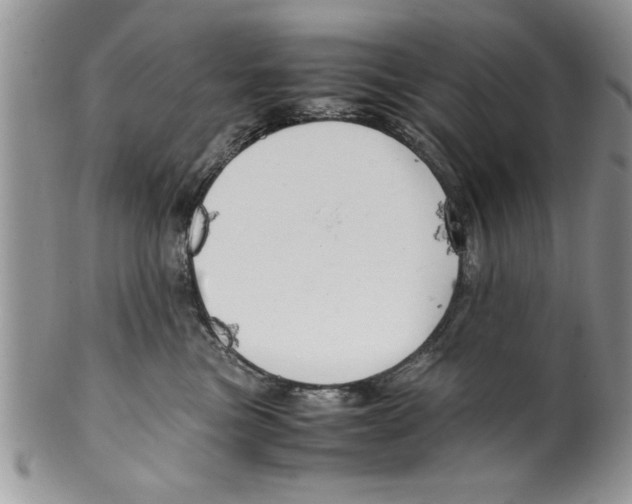 X0000099530473200806131131