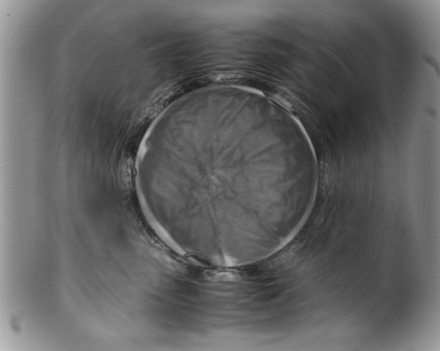 X0000099530475200806131131