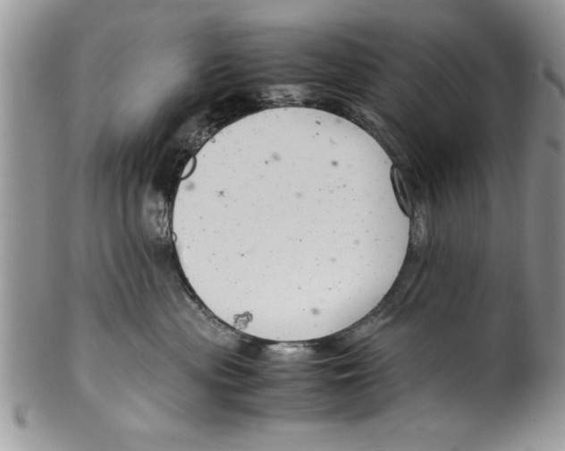 X0000099530477200806131131