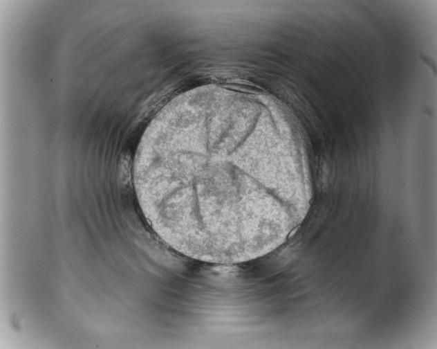 X0000099530478200806131131