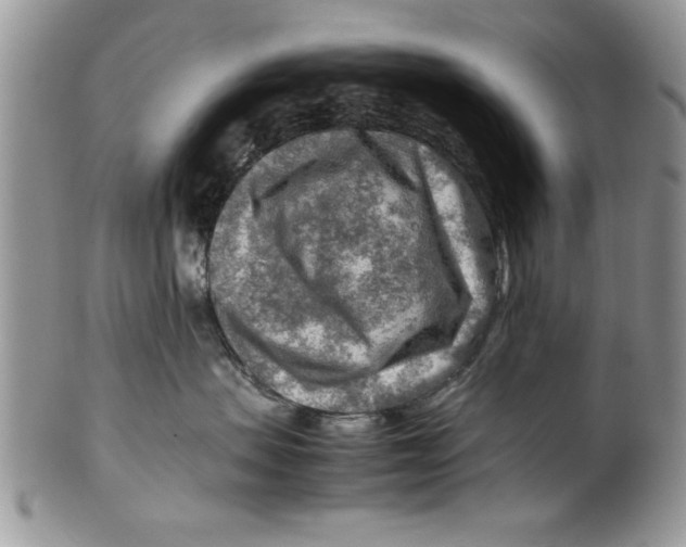 X0000099530479200806131131