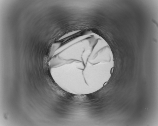 X0000099530480200806131131