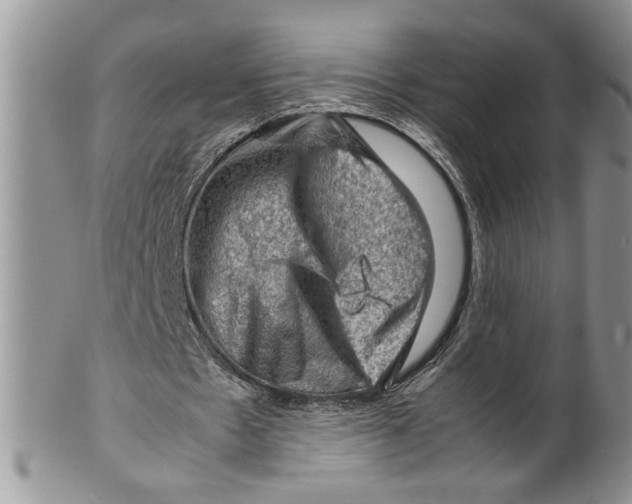 X0000099530481200806131130