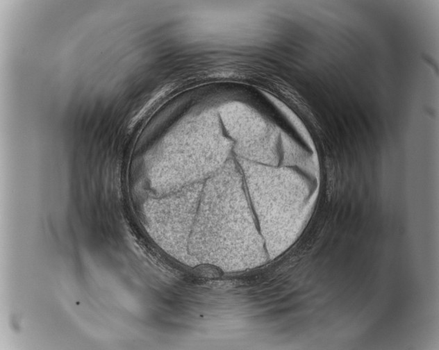 X0000099530482200806131130