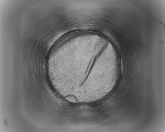 X0000099530483200806131130