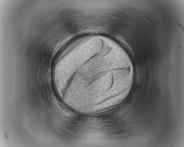 X0000099530486200806131130