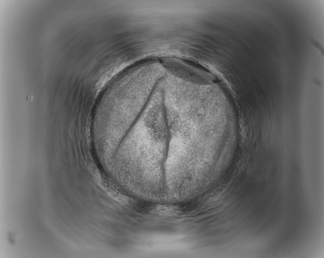 X0000099530487200806131130