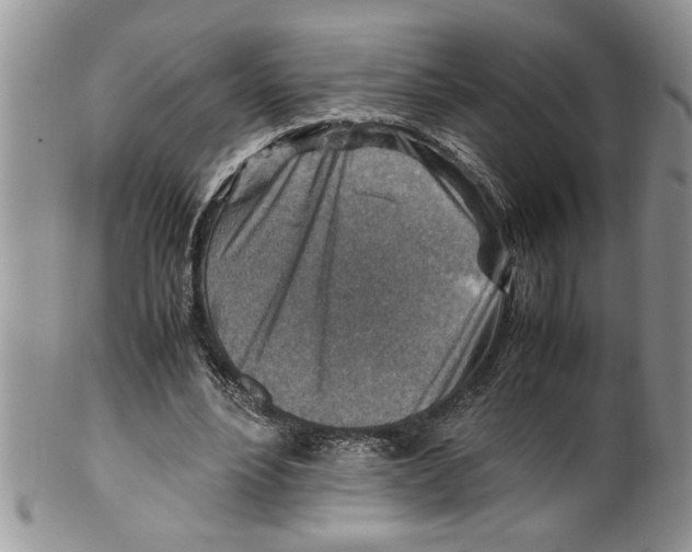 X0000099530488200806131130