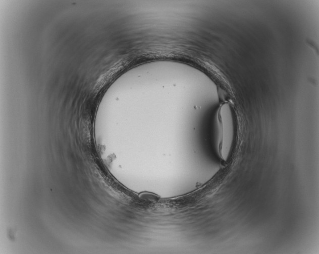 X0000099530489200806131130