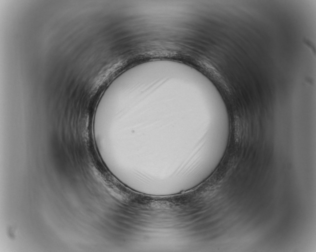 X0000099530490200806131130