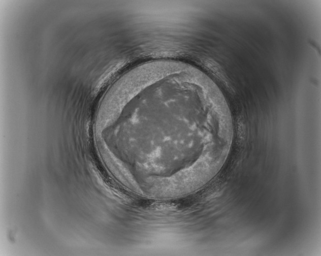 X0000099530491200806131130