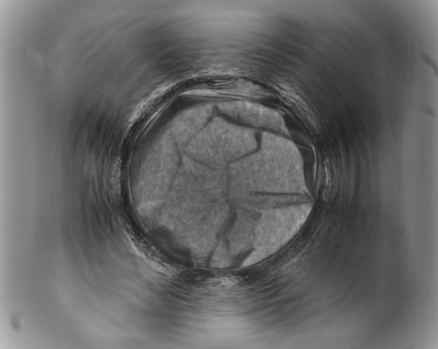 X0000099530492200806131130