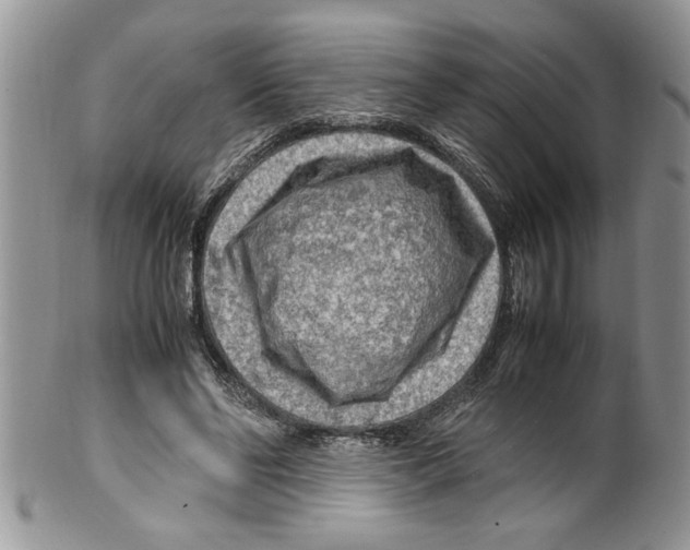 X0000099530494200806131130